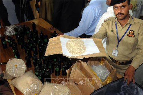 Pakistan ngăn chặn vụ vận chuyển 1,45 tấn ma túy
