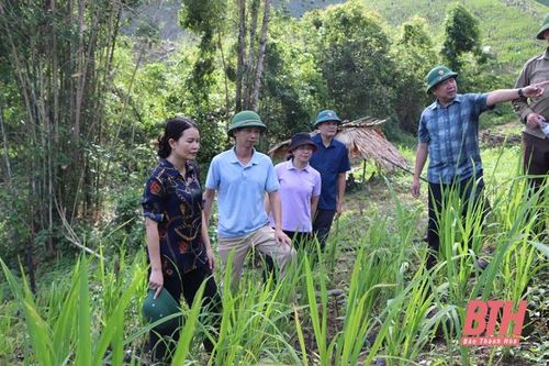 Quan Hóa vững bước vào xuân