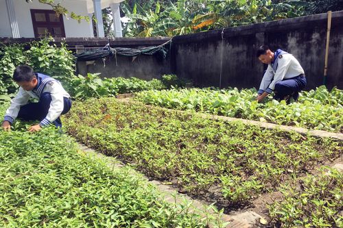 Những nông dân trên đảo Trường Sa