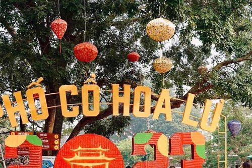 Gần 85.000 lượt khách về thăm Ninh Bình trong dịp Tết Quý Mão 2023