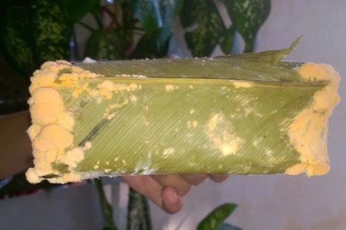 Bánh chưng, măng khô bị mốc có nên cắt bỏ và tiếp tục ăn?