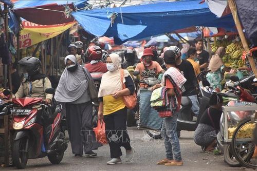 Indonesia bước vào giai đoạn chuyển tiếp từ đại dịch COVID-19 sang bệnh đặc hữu