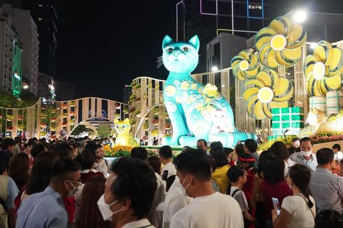 TP Hồ Chí Minh: Đường hoa Tết Quý Mão đón lượng khách cao kỷ lục