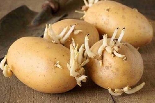 Sai lầm khi ăn khoai tây biến chúng thành thạch tín, nhất là điều thứ 2