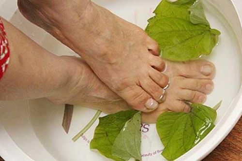 Lấy lá lốt ngâm với nước này, chân đau nhức đến mấy chỉ cần bôi vài lần là đỡ
