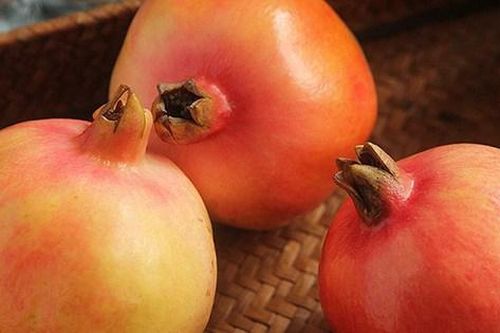 Khi ăn salad, người Nhật hay trộn thêm 1 loại trái cây để giảm béo nhanh và trẻ lâu