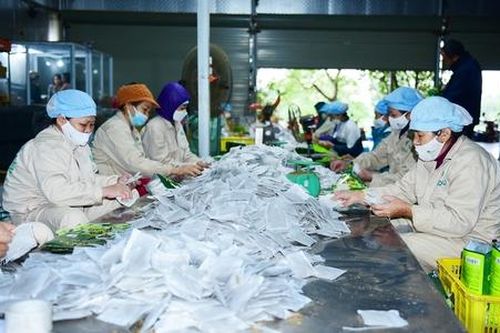 Hành trình khởi nghiệp của Kiên Cà