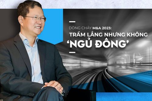 Dòng chảy M&A: Trầm lắng nhưng không 'ngủ đông'