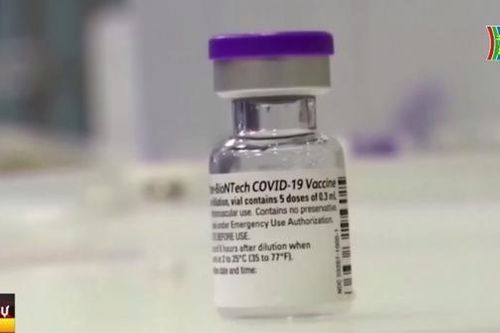 Mỹ: Vaccine Covid-19 cải tiến có thể ngừa các dòng phụ mới