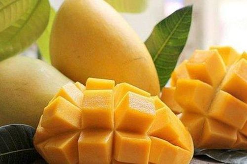 Xoài - không chỉ ngon, bổ dưỡng mà còn là vị thuốc trị bệnh