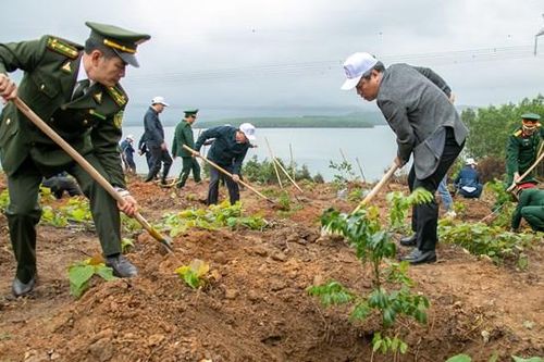 Quảng Bình phát động trồng 9.000 ha rừng và hàng triệu cây phân tán