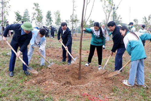 Phú Thọ phấn đấu trồng mới 9.000ha rừng tập trung