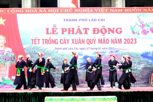 Lào Cai ra quân trồng cây đầu xuân mới 2023