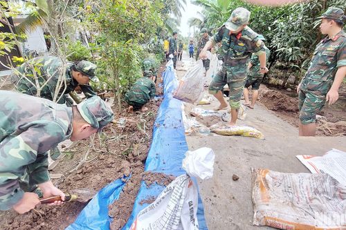 Trà Vinh: Khắc phục sạt lở, vỡ đê do triều cường, nước biển dâng