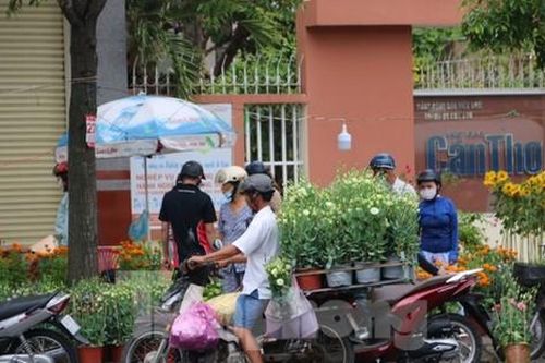Bí thư Cần Thơ yêu cầu làm rõ vì sao 'dư thừa' hoa trái dịp Tết