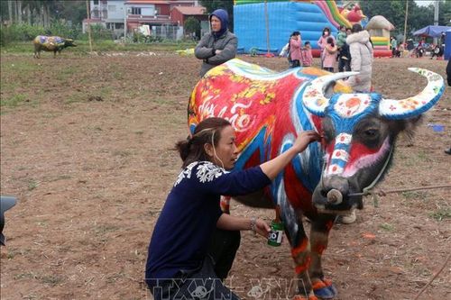 Hội thi vẽ trang trí trâu Lễ hội Tịch điền Đọi Sơn