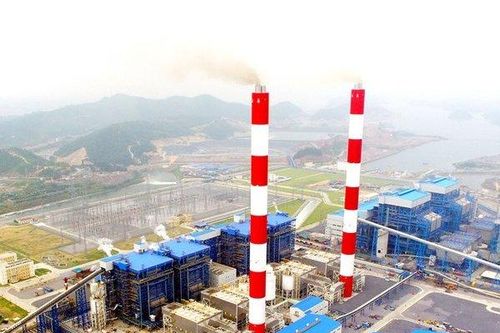 Lãi quý IV giảm 86%, Nhiệt điện Quảng Ninh vẫn vượt kế hoạch lợi nhuận cả năm