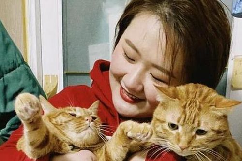 Kiếm 34 triệu nhờ dịch vụ đến tận nhà để cho mèo ăn dịp Tết