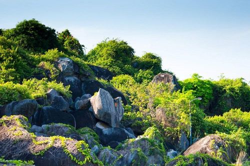 'Ngọn đồi 2 triệu đô' định hướng phát triển du lịch bền vững