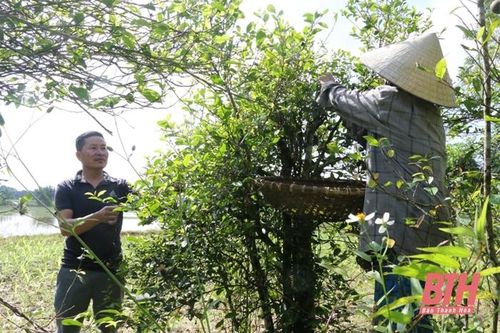 Về làng Phúc Bồi