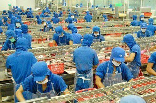 Áp lực nợ vay khiến lợi nhuận quý IV/2022 của Tập đoàn Sao Mai (ASM) giảm 63%