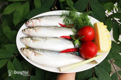 Mặn mà cá, tôm... nước lợ