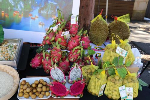 Việt Nam - Australia: Kim ngạch thương mại hai chiều tăng trưởng đột phá