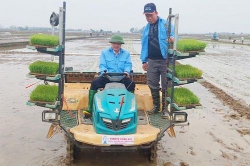 Tam Dương (Vĩnh Phúc): Trình diễn cấy mạ khay bằng máy vụ Xuân 2023