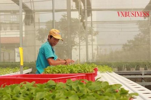 Kỳ vọng cách mạng xanh lần 2 với nông nghiệp tái sinh