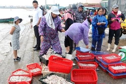 Rộn ràng mở 'cửa biển' đón lộc xuân