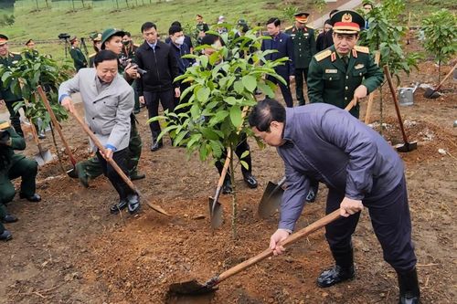 Thủ tướng kêu gọi Nhân dân tham gia trồng cây ngay từ những ngày đầu xuân