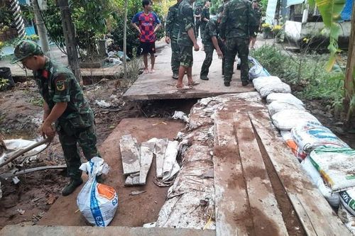 Triều cường gây thiệt hại hoa màu của hàng trăm hộ dân những ngày Tết