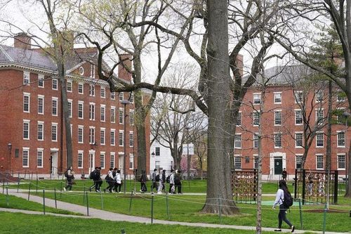 Sinh viên Harvard phản đối việc cho người quấy rối tình dục dạy học