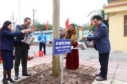 Năm 2023, huyện Thường Tín phấn đấu trồng 19.400 cây các loại