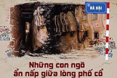 Tản mạn về ngõ