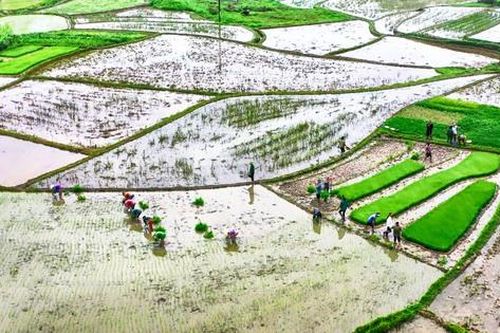 Chuẩn bị sẵn sàng điều kiện lấy nước đợt 2