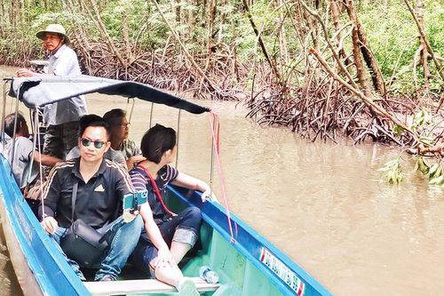 Du lịch sinh thái rừng ngập mặn nơi Đất Mũi