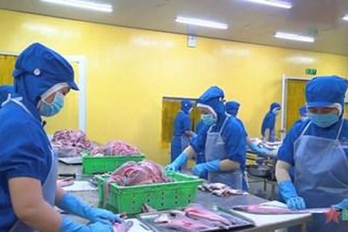 Khí thế, quyết tâm và kỳ vọng mới