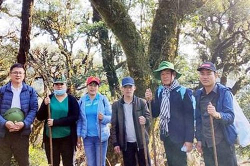 Bảo tồn, phát huy giá trị gắn với phát triển kinh tế từ chè cổ thụ