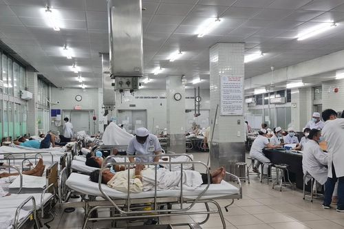 Để ngày xuân an toàn, vui khỏe