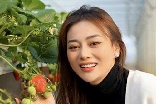 Sao Việt du Xuân: Phương Oanh xinh đẹp ở Hàn Quốc, Trấn Thành ra Hà Nội...