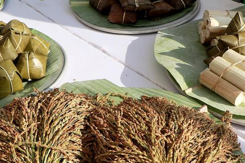 Bảo tồn nghi lễ Tết cơm mới của người Mường Phú Thọ