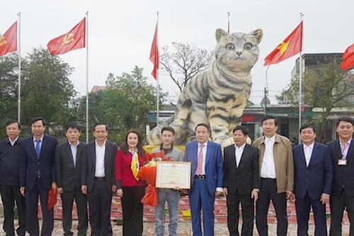 Khen thưởng người tạo hình 'hoa hậu mèo' ở Quảng Trị