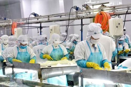 Bất ngờ loạt đơn hàng xuất khẩu Mỹ, Hà Lan đầu năm mới