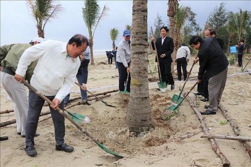 Tết trồng cây: Nâng cao ý thức, trách nhiệm người dân tham gia trồng cây xanh