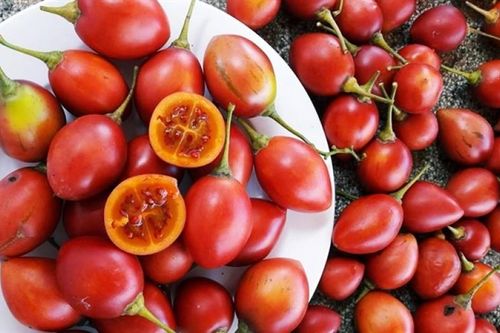 Tác dụng của cà chua thân gỗ