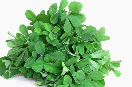 Tác dụng của cỏ cà ri với sức khỏe