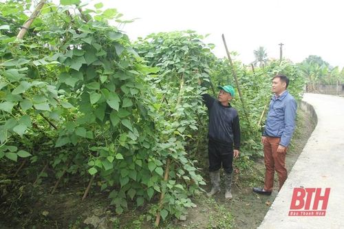 Bí thư chi bộ năng động, nhiệt huyết