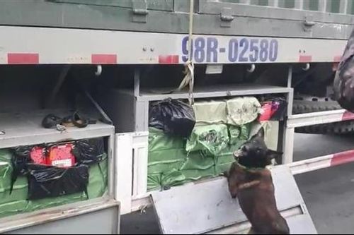 Giấu 342 kg pháo nổ trong hầm cốp xe tải