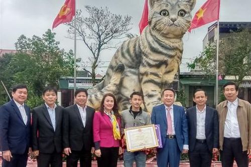 Sau Tết, 'hoa hậu mèo' Quảng Trị sẽ được đấu giá để gây quỹ?